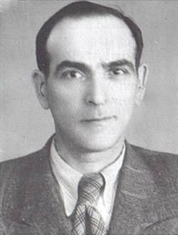 Zvi Perkin