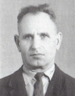 Бен-Цион Файбелис